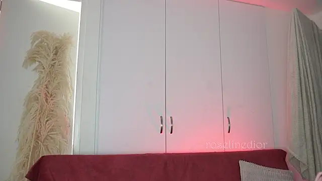 roselinedior online show from November 9, 3:49 pm