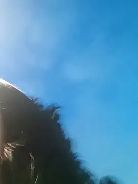 Wanda and cosmo  online show from March 3, 11:35 pm