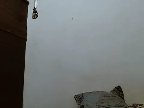 mademonsexy online show from November 7, 2:27 am