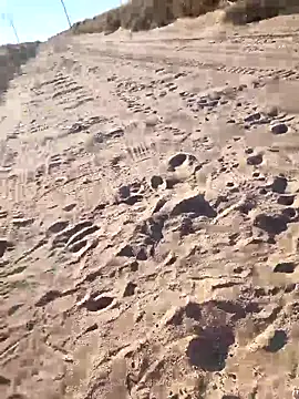 prettyboi6992 online show from March 1, 11:49 pm