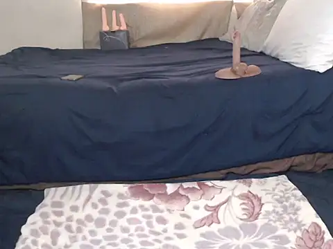 AdelaideT online show from November 11, 6:41 am