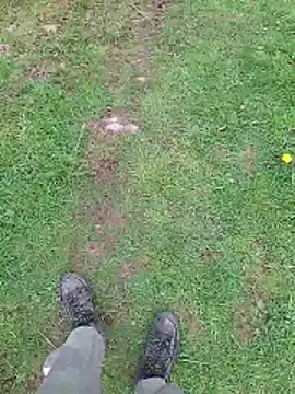 FreezingTie850 online show from April 19, 10:38 am