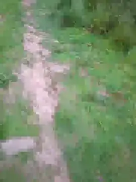 FreezingTie850 online show from May 27, 8:16 pm
