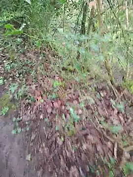 FreezingTie850 online show from April 14, 10:09 am