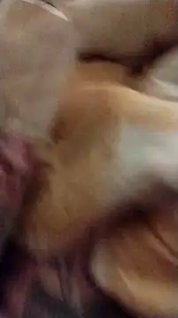 fukurbutt online show from December 1, 11:22 am