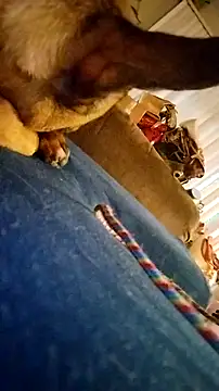 fukurbutt online show from February 19, 3:42 pm