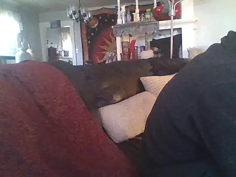 LongDickLance online show from January 8, 2:34 pm