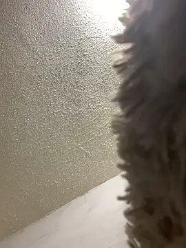 talitasilvx online show from March 18, 11:09 pm