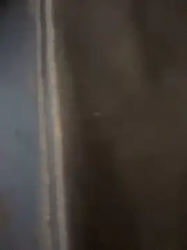 haddy ss online show from November 15, 8:02 pm