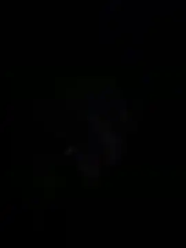sylviahhh online show from April 3, 1:56 am