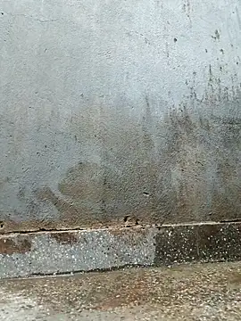 Sergipano fogozinho online show from February 3, 12:43 am