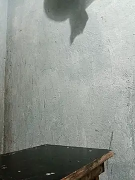 Snapshot of Sergipano_fogozinho chatting on December 5, 1:49 am Sergipano fogozinho online show from December 5, 1:49 am