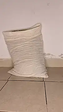 Snapshot of Perqueen chatting on November 7, 6:01 pm Perqueen online show from November 7, 6:01 pm