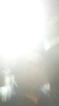 ssamit0808 online show from February 10, 7:17 pm