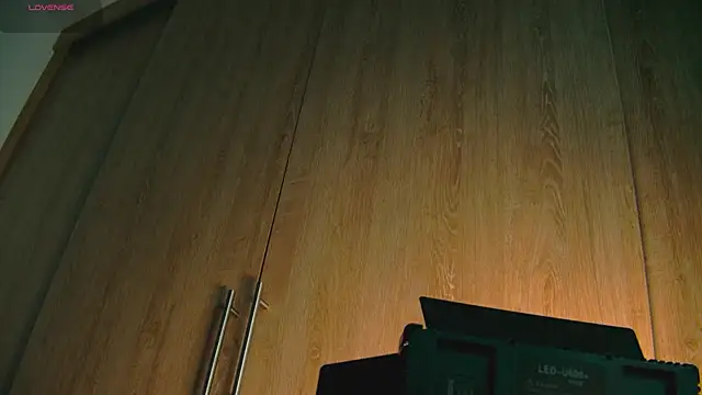 aidaadams online show from October 25, 8:24 am