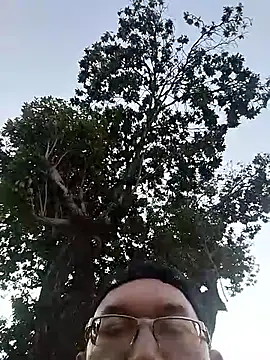 Natanzinhoz online show from December 3, 8:08 pm