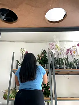 PUSHYLATE online show from November 29, 1:55 pm