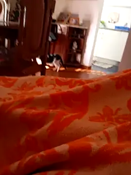 Snapshot of sonia1488 chatting on December 27, 12:23 pm sonia1488 online show from December 27, 12:23 pm