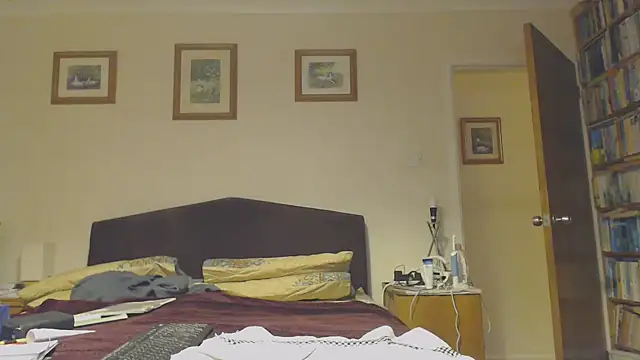 Snapshot of WaverlyKernow chatting on January 29, 8:25 pm WaverlyKernow online show from January 29, 8:25 pm