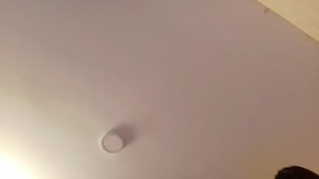 rosse 98  online show from October 26, 11:54 am