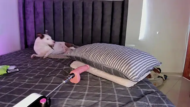 paulina soto online show from April 5, 8:04 pm