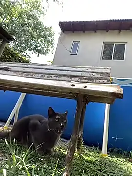 Snapshot of FlorBich chatting on February 3, 1:27 pm FlorBich online show from February 3, 1:27 pm