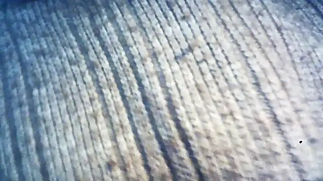 Snapshot of wedge75 chatting on December 5, 2:28 pm wedge75 online show from December 5, 2:28 pm