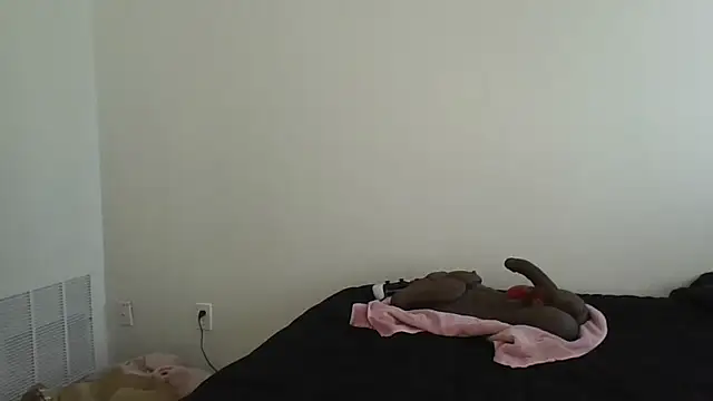 jaydadior online show from October 2, 6:22 pm