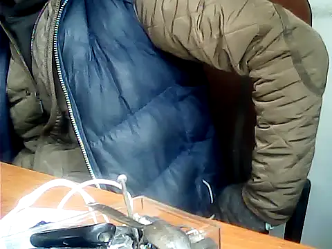 zormen355 online show from December 1, 11:33 am