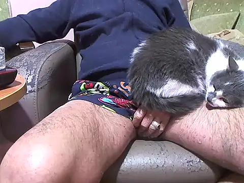 zormen355 online show from April 8, 7:48 pm