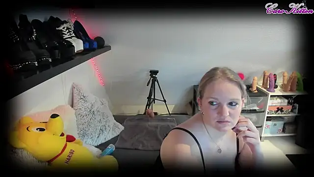 caro kitten online show from February 15, 10:22 am