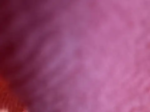 Amarok39 online show from October 18, 7:49 pm