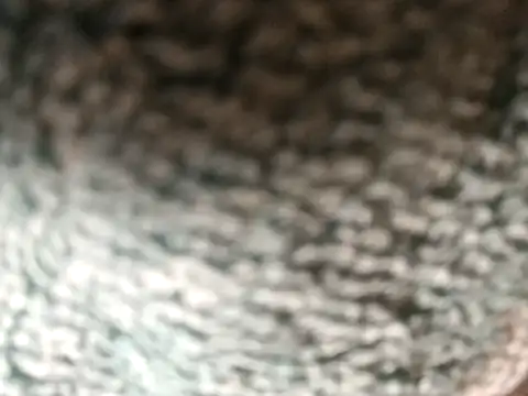 Amarok39 online show from December 16, 3:05 pm