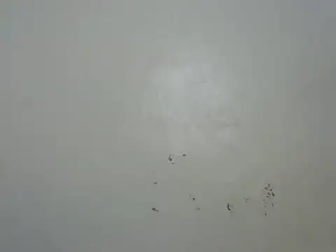 Rasta tattooed online show from February 6, 10:50 pm