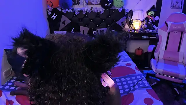 kary bunny3 online show from October 25, 6:45 am