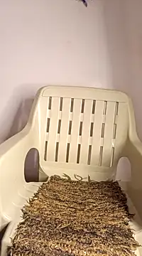 Snapshot of Jessicca_Cum chatting on March 11, 6:52 pm Jessicca Cum online show from March 11, 6:52 pm