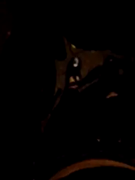 FeloBad online show from May 26, 3:37 am