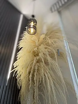 Snapshot of Rose-euphoria chatting on February 13, 9:04 pm Rose-euphoria online show from February 13, 9:04 pm