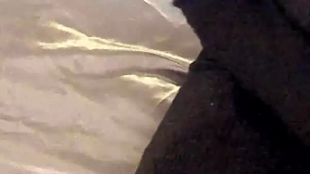 IceDanielles online show from December 19, 1:35 pm