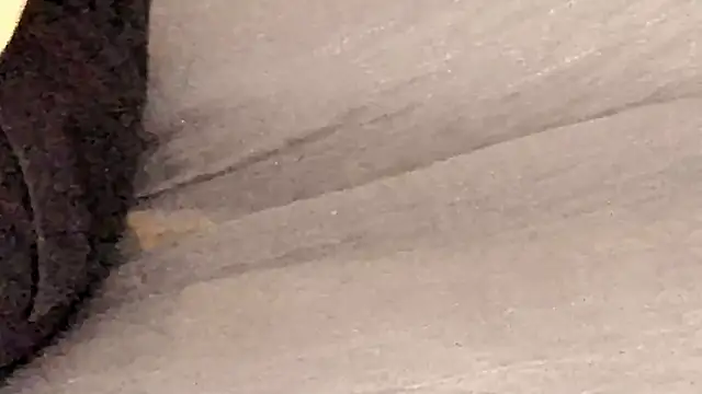 IceDanielles online show from October 11, 12:39 pm