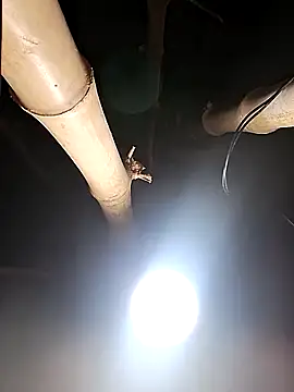 HotSexyBoudi online show from February 26, 8:25 am