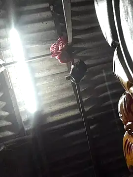 HotSexyBoudi online show from November 12, 8:40 am