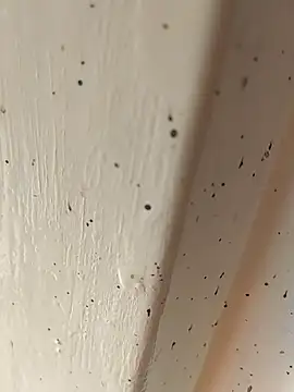 Camila erotica online show from April 4, 2:45 pm