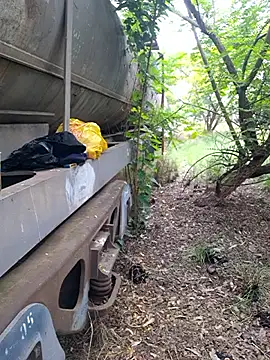 Petrossa online show from November 12, 9:02 am