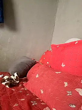 Petrossa online show from January 13, 11:47 am