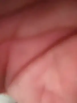 Snapshot of WilldoPita chatting on February 10, 4:17 pm WilldoPita online show from February 10, 4:17 pm