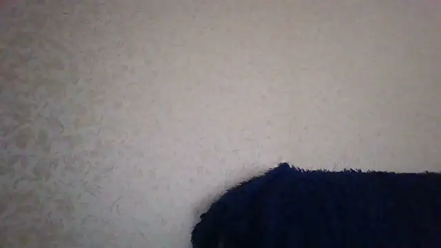 Snapshot of CarlyTreat chatting on July 7, 10:52 am CarlyTreat online show from July 7, 10:52 am