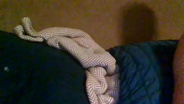 Snapshot of trash4cash chatting on October 31, 2:19 am trash4cash online show from October 31, 2:19 am