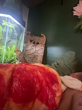 Snapshot of trash4cash chatting on March 7, 2:34 pm trash4cash online show from March 7, 2:34 pm