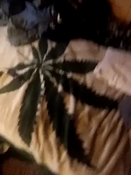 ySqmbVanbe online show from October 10, 2:34 am